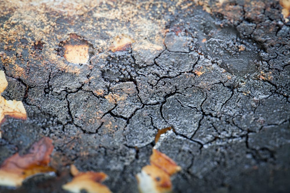 surviving indian roads