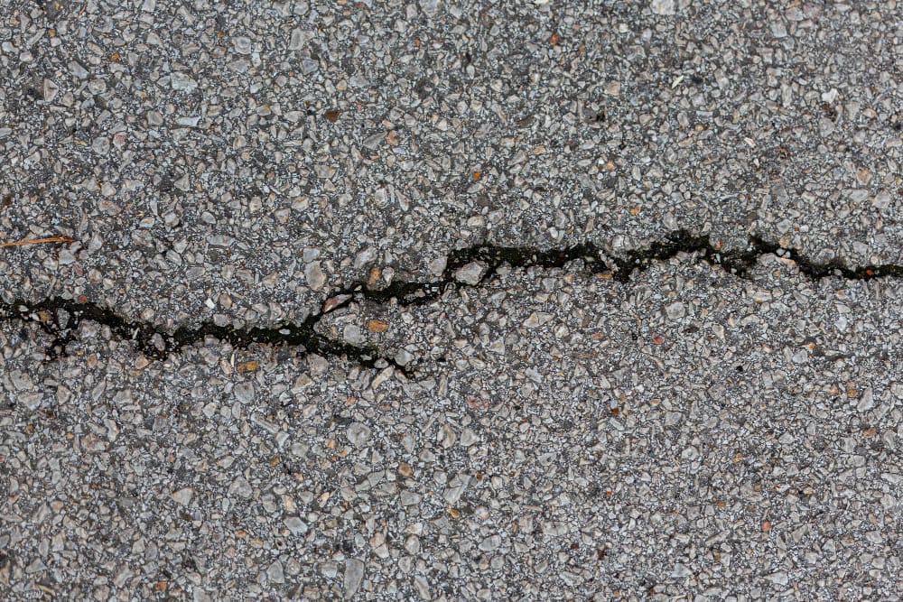 surviving indian roads