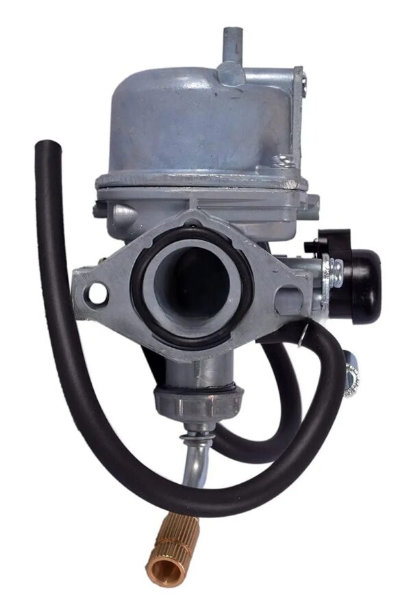 Bajaj Platina Carburettor Assy