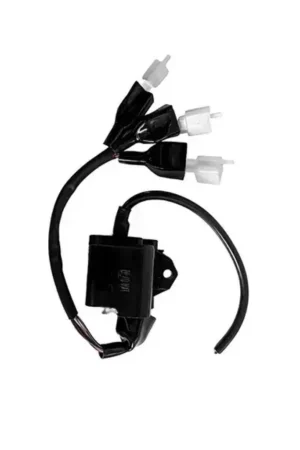 Cdi With et Coil For Jupiter Bs3