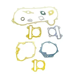 Gasket Kit For Destini product image