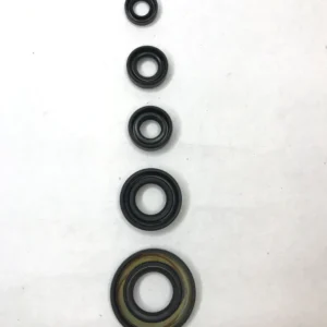 Oil Seal Kit For Tvs Apache Rtr 160 180 2v Models Set Of 5 Seals