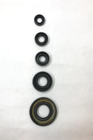 IMG_3341 Oil Seal Kit For Tvs Apache Rtr 160 180 2v Models Set Of 5 Seals