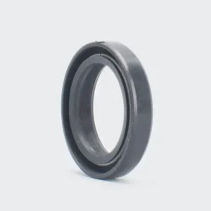 Fork Oil Seal R15 product image