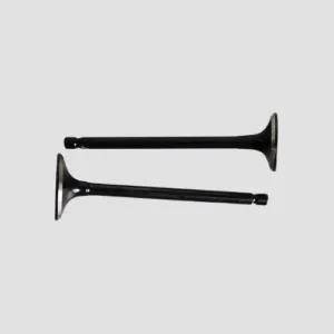 Valve Set Platina 100 Es product image