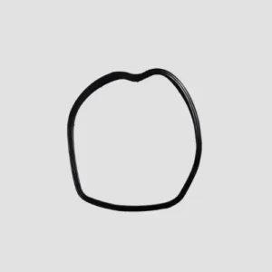 O Ring Head Cover Platina 100 product image