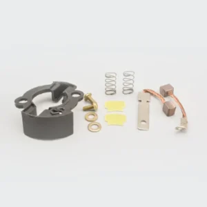 Carbon Brush Set w plate Passion Pro splendor Pro cd deluxe stunner product image