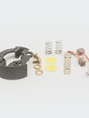 Carbon Brush Set w plate Passion Pro splendor Pro cd deluxe stunner product image