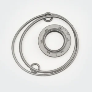 Magnet Oil Seal w o ring Kit Hh product image