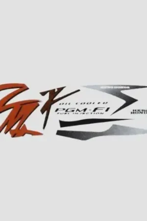 Sticker Set Karizma Zmr blk Tank product image