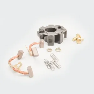 Carbon Brush Set w plate Karizma Zmr product image