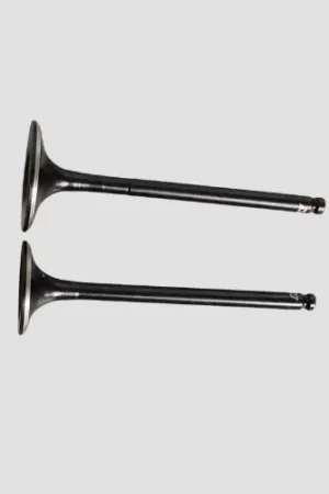 NAJ1839 Valve Set Cbz xtreme product image