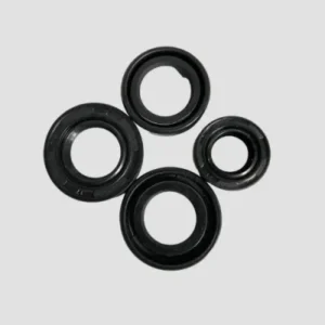 Oil Seal Kit Xl100 product image