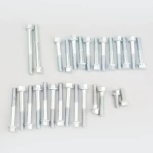 Screw Kit Engine full Victor product image
