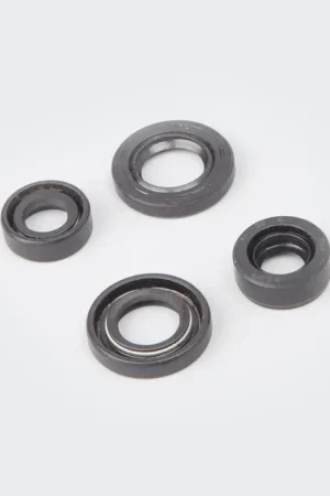 NAP0362-_MG_0240 Oil Seal Kit so4 Victor product image