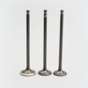 Valve Set so3 Victor 110 product image