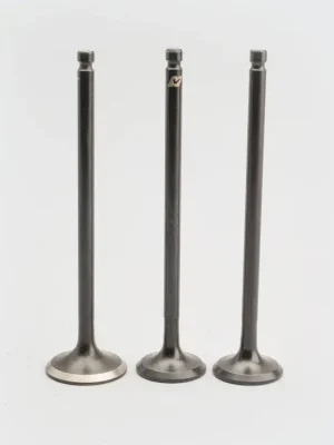 Valve Set so3 Victor 110 product image