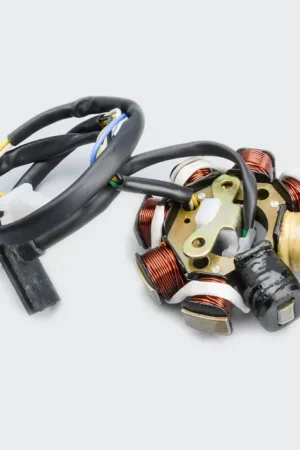 Coil Plate Assy 9 coil W socket Activa 110