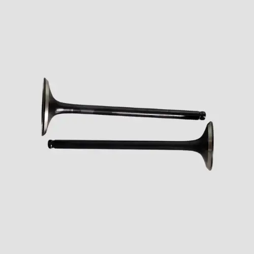 Valve Set Hornet product image