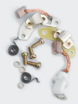 NAR0277-DSC_2074-400x400 Carbon Brush Set half c Plate agi Pulsar 150 Dtsi product image