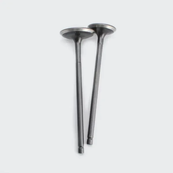 Valve Set Pulsar 150 Dtsi discover 135 product image