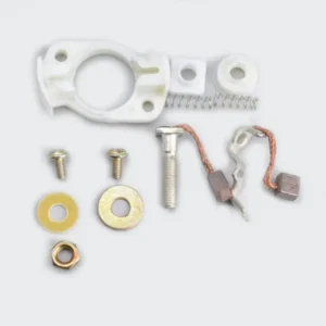 Carbon Brush Set w plate Discover 100 N m platina N m product image