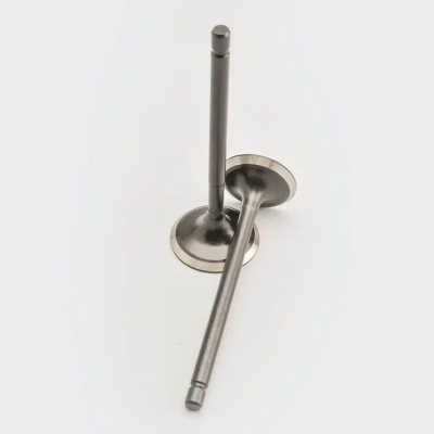 Valve Set Apache Rtr product image