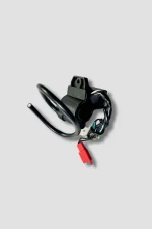 Cdi With coil Star Deluxe