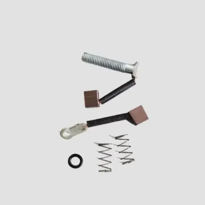 Carbon Brush Set Access N m product image