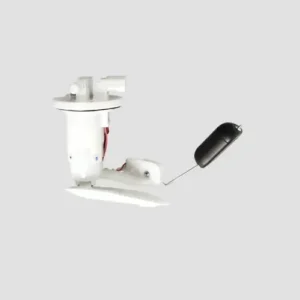Fuel Pump Assy Access Bs6 product image
