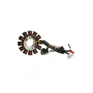 Stator Plate Assy 12 Pole TVS Stryker Es Phoenix Bs3 product image