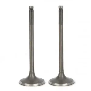 Valve Set honda Shine stunner product image