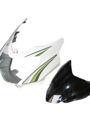 headlight-visor-with-glass-tvs-star-sports-type-3-spotlight-white-green-400x400 Headlight Visor With Glass TVS Star Sports type 3 Spotlight White green Sticker