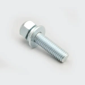 Bolt Hldoom cp Suzuki