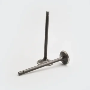 Valve Set Fiero fiero F2 fiero Fx apache wego jupiter product image