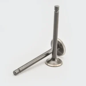 Valve Set 4s ct100 platina boxer caliber product image