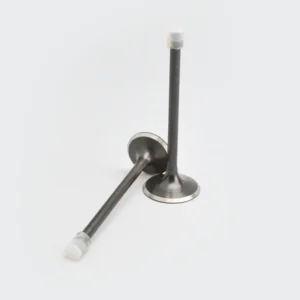 Valve Set Cbz karizma product image