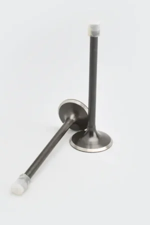 naj0481-DSC_7903 Valve Set Cbz karizma product image