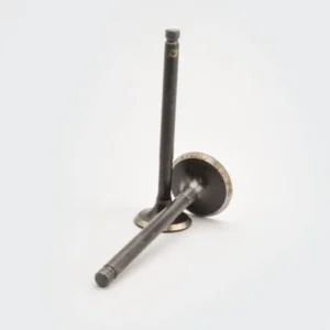 Valve Set Victor star star Dlx star City product image