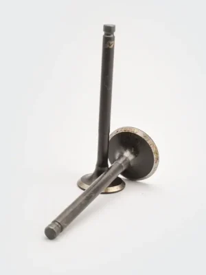 nap0126-DSC_4521-400x400 Valve Set Victor star star Dlx star City product image