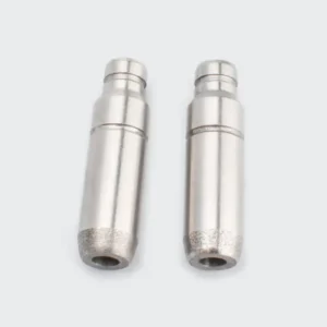 Valve Guide Xcd discover 100 product image