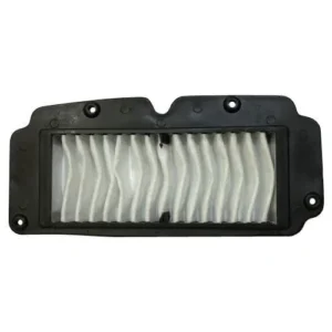 Air Filter Suzuki Access product image
