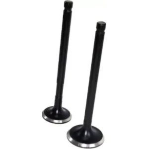 Valve Set 01471k24900 Honda Activa 125 product image