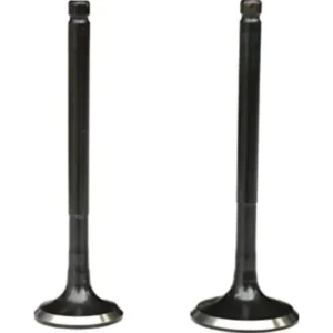 Valve Kit 01471kpl840 Honda Activa Old product image