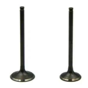 Valve Kit 01471ksp860 Honda Unicorn product image