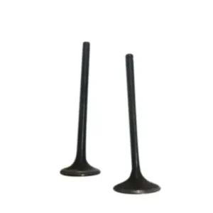 Valve Set 01471kte910 Honda Shine product image