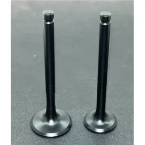 Valve Kit 01471kwp900 Honda Activa 110 het product image