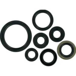Oil Seal Kit 09120kwpd02 Honda Activa 110 het product image