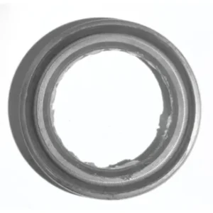 Oil Seal 1257290 Tvs Max100r 100 product image