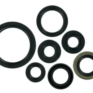 Engine Oil Seal Kit 2s Mcy 1324910 Tvs Max100r 100 product image